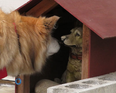 ����ɂ��́`