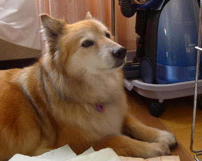 �Ƃɂ������Ԃ���������