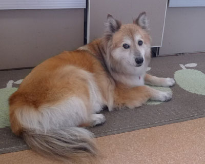 ���N�̉Ă͂����Ƃ��킩����