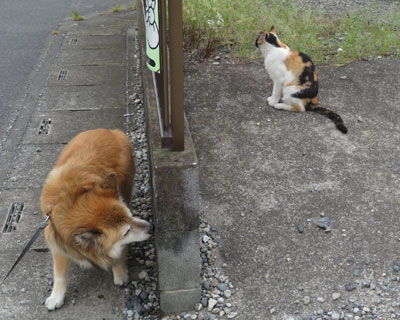 �˂��ɋC�Â����j�I�C�k��