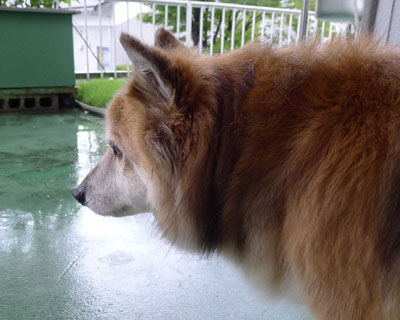 ���N�͑䕗����������