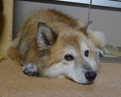 ���s�����Č����Ă��̂�