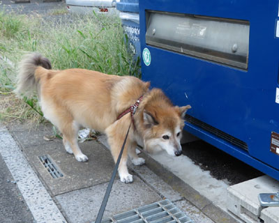 ���̋@�̉���`���Ȃ�����