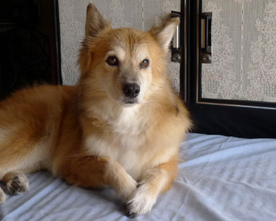 ���낻��P�S��