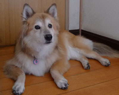 ���킭�đ�����