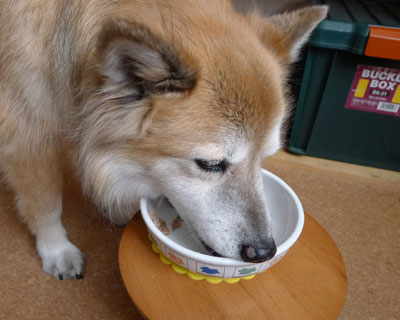 �����ĐH�~���o�Ă���