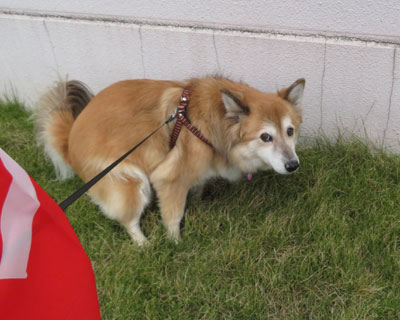 �̏d������������