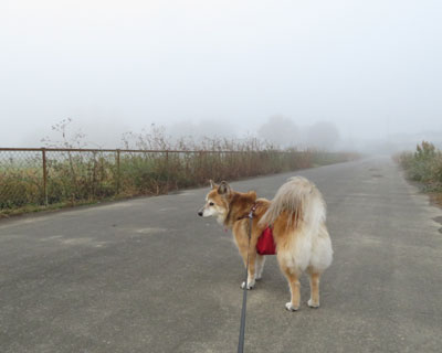 �~�ɑ����Ă�Ɗ��������