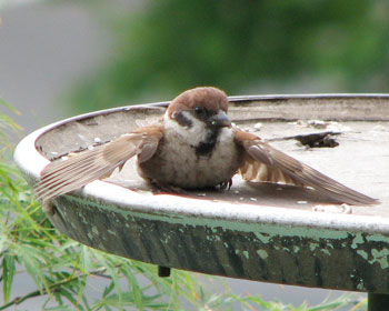 ���������H