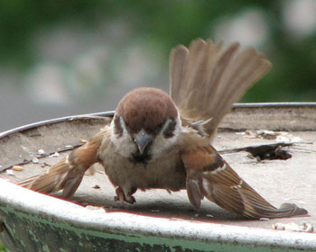 ��񂾁I������������