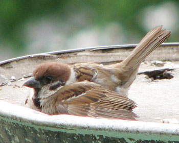 ���났�����ł́H