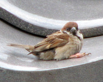 ������Ɠ{���Ă�H