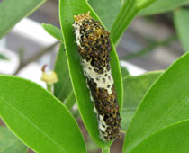 �������������