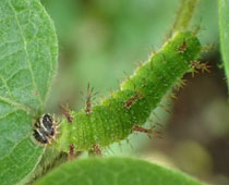 �A�T�}�C�`�����W�c��