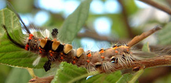 �q���V�������h�N�K�ђ�