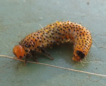 ������n�o�`����