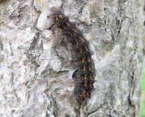 �Q�{���ђ�