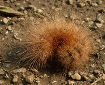 �ѐ[���ђ�