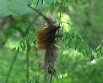 ����������}���h�N�K