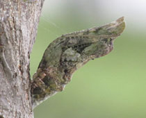 �i�K�T�L������