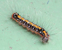 �����S�P����������