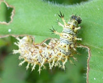 �����ƂƂ��Ƃ����������^�e�n