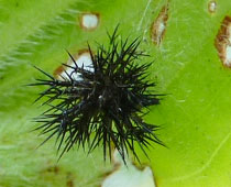 �E�����炩��