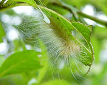 �I�r�K����