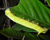 �I�I�X�J�V�o