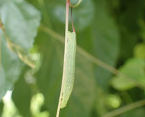 �����Ə������R�X�Y��