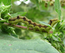 �I�I�^�o�R�K