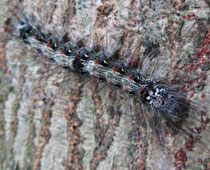 ���c�{�V�z�\�o