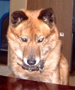 ����A�����������