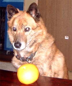 ���A���悩��