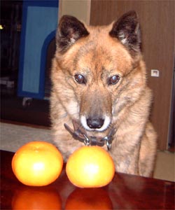 ���`�E�E�E