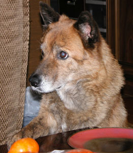 ��������Ă݂悤