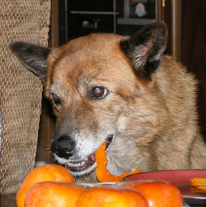 ���A���܂�