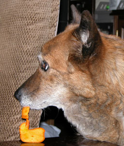 �o�������ȁH