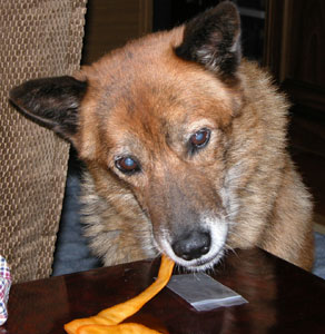 ���[���A���܂̂���