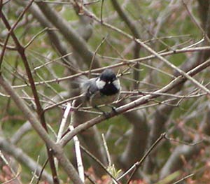 �K�U��q�K��