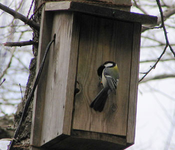 ���Z�V�W���E�J��