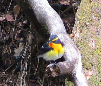 ���͊���Ă���