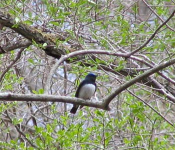 �������ɂȂ邱�Ƃ�����