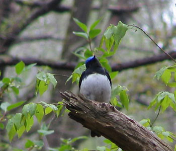 �i�j�������H