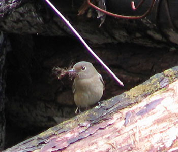 �I�I����������͓�����