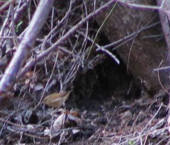 ���u�T����T���I������