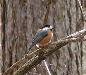 ���l���}�K��