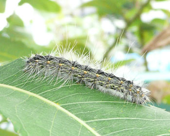 ���уP�����