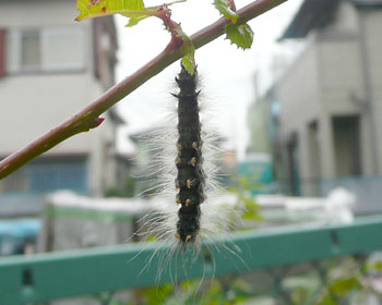 ������点��