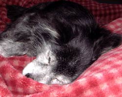 �n������